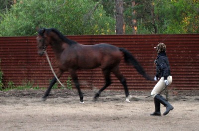 Aztec_GoHamster!.JPG (83.58 КБ) 13332 просмотра Идеальный сбор =)<br />Типа, я конь порядочный, шамборьером по попе не надо =)