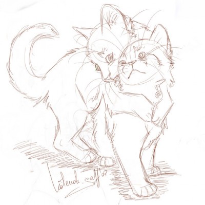 kotenok_gaff_huglez.jpg (56.25 КБ) 9871 просмотр kotenok_gaff_huglez.jpg