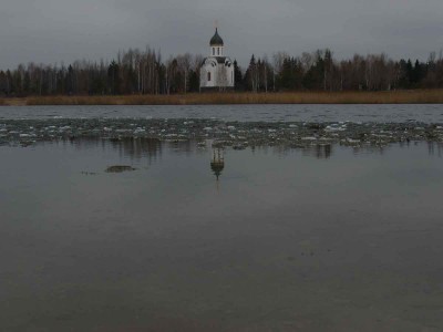 Ptich.jpg (45.01 КБ) 60889 просмотров Ptich.jpg