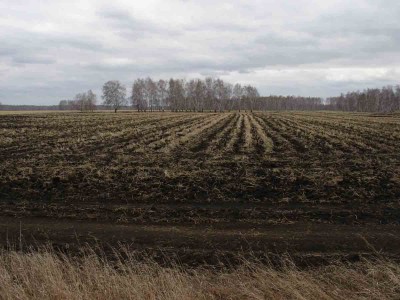 Pole.jpg (80.38 КБ) 60896 просмотров Pole.jpg