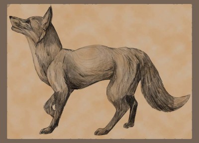 Fox.jpg (64.36 КБ) 14289 просмотров Fox.jpg