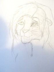 528.jpg (28.49 КБ) 34671 просмотр симба?