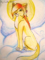 025 006.jpg (119.3 КБ) 34665 просмотров солнечная кошка