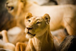 331999068_8cd616362d_o.jpg (953.78 КБ) 27527 просмотров http://www.flickr.com/photos/thomashawk/331999068/