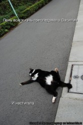 x_ec21f019.jpg (62.94 КБ) 23044 просмотра x_ec21f019.jpg