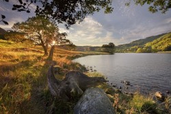 0053ck6f.jpg (146.53 КБ) 23028 просмотров Одна из работ Стива Хайфилда