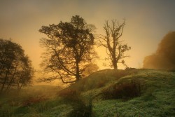 0052hq85.jpg (247.6 КБ) 23007 просмотров Ещё одна работа Стива Хайфилда