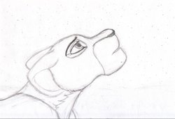 guidemegods_v2_cropped.jpg (76.83 КБ) 21527 просмотров Guide me, great kings!