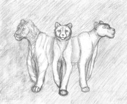 for_talana_sm.jpg (217.76 КБ) 19923 просмотра Ложные воплощения